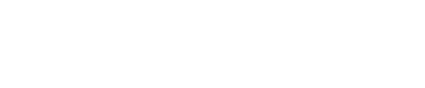 praxi white logo website